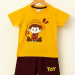Toy